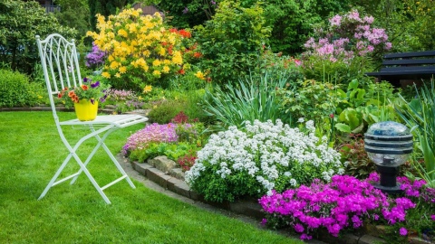 Неприхотливые и долгоцветущие многолетние садовые цветы (49 фото): крупныене требующие ухода и низкорослые многолетники, цветущие все лето, для дачи