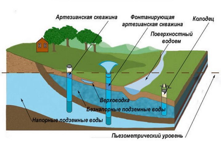 как определить залегание грунтовых вод на участке