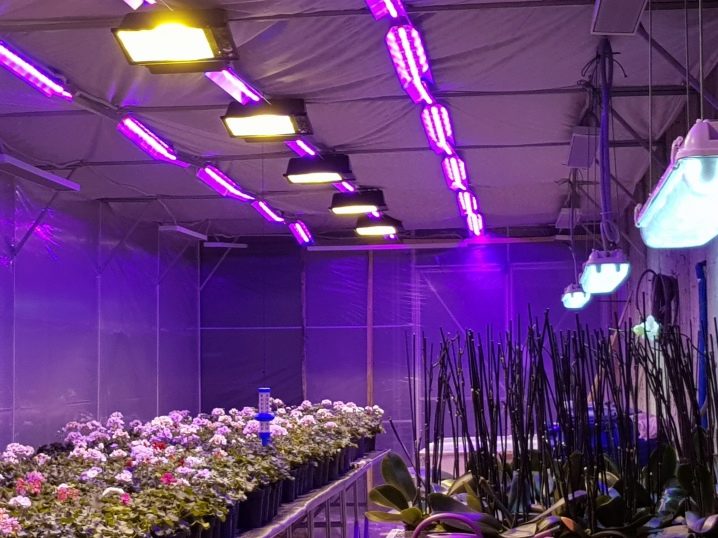 Фитолампа светодиодная для растений на подоконнике отзывы