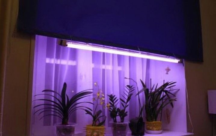 Польза для ультрафиолетовая лампа для растений