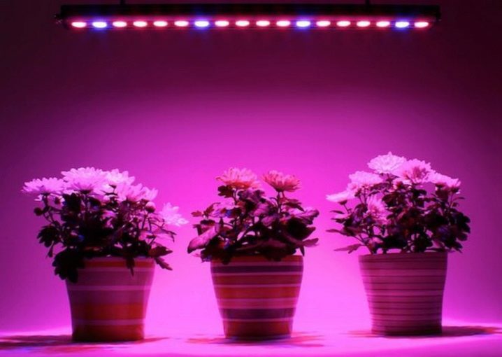 Польза для ультрафиолетовая лампа для растений