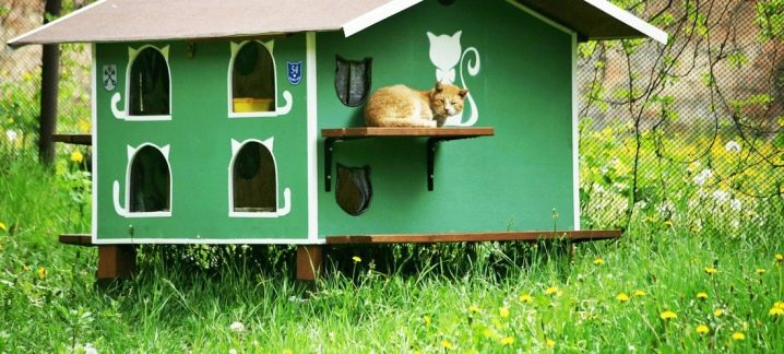 Какой дом у кошки на даче