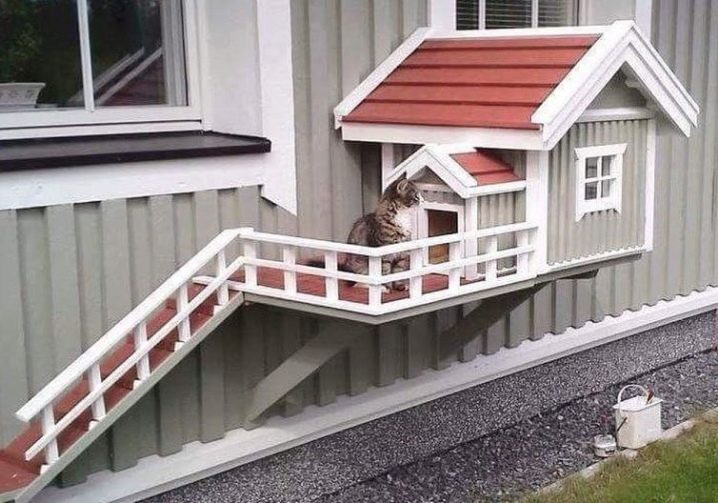 Какой дом у кошки на даче