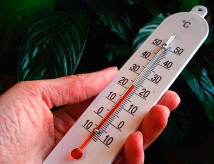 Какая температура должна быть в квартире, школе и детском саду?