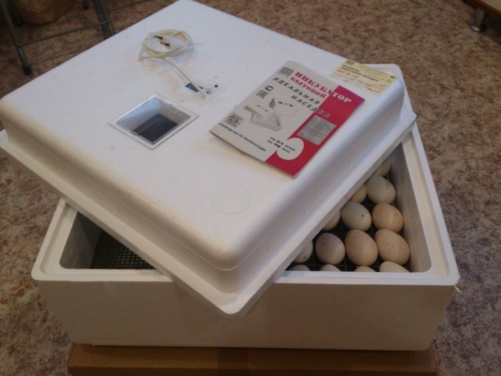 Какие инкубаторы нужны для выведения птенцов?