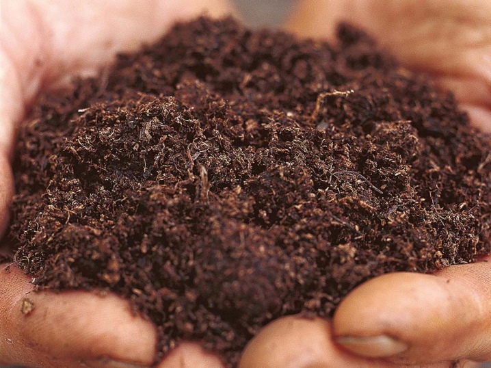 Можно ли выращивать растения без почвы если да то как?