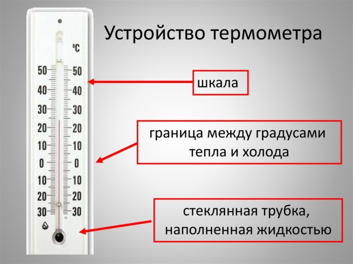 На каком свойстве жидкости основан принцип действия термометра