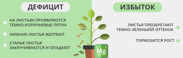 Польза сульфата магния для растений