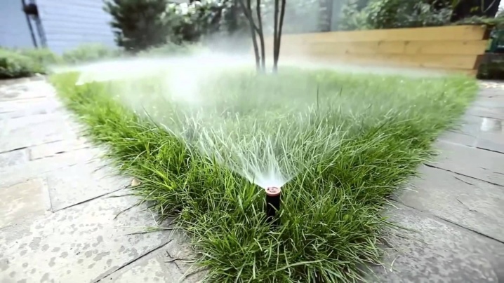 При какой температуре прорастает газонная трава