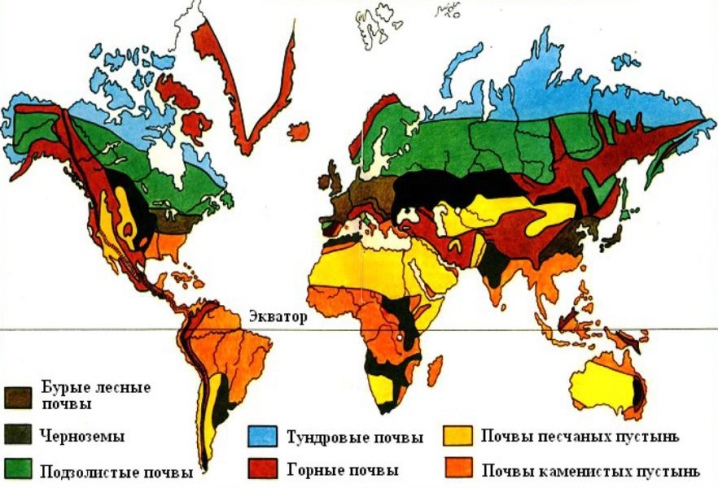 площадь тундровой глеевой почвы