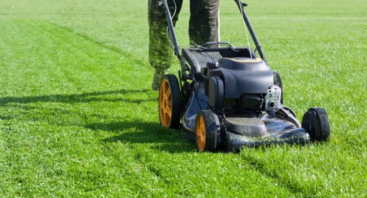 Как сеять газонную траву правильно — пошаговая инструкция с фото и видео. Посадка газонной травы Как правильно сажать траву на даче