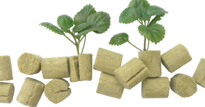 Какой бывает минеральная вата для растений и как ее применять?