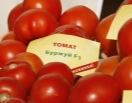 Томат Буржуй