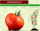 Томат Примадонна