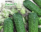 Огурец Ежик