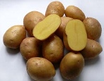 Картофель Импала