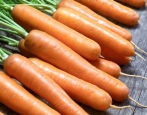 Морковь Лагуна