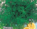 Укроп Аллигатор: описание и характеристики сорта, правила посадки и ...