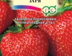 Сорта земляники (клубники) — список по алфавиту