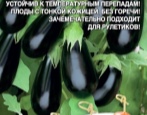 Сорта баклажанов — список по алфавиту