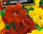 Сорта настурции — список по алфавиту