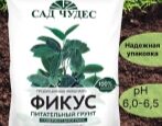 Грунт Сад Чудес Фикус