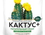 Грунт Сад Чудес Кактус