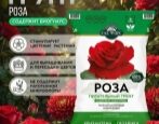 Грунт Сад Чудес Роза