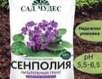 Грунт Сад Чудес Сенполия