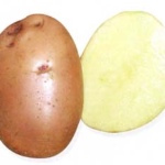 Картофель Накра