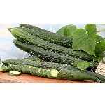 Как называется салат, большие, ровные и тонкие