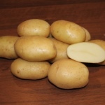 Картофель Удача