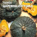 Вид тыквы