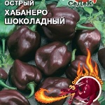 Как вырастить острый перец хабанеро и использовать этот компонент в кулинарии