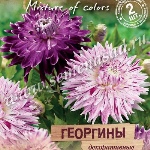 Георгины многолетние посадка весной