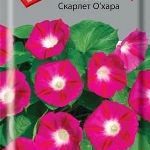 Какой грунт любит ипомея и когда сажать и как вырастить ипомею на рассаду в домашних условиях