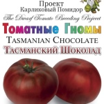 Томат Тасманский шоколад