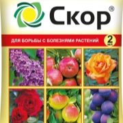 Препарат Дискор: инструкция по применению и назначение. Как применять ...