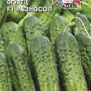 Сорта черношипых огурцов партенокарпические для открытого