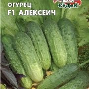 Сорта черношипых огурцов партенокарпические для открытого