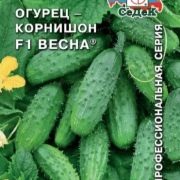 Огурцы без шипов описание сорта фото отзывы