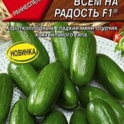 Огурцы без шипов описание сорта фото отзывы