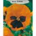 Виола (фиалка) Елена