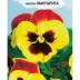 Виола (фиалка) Маргарита