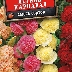 Шток-роза Летний карнавал смесь окрасок