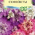 Иберис Самоцветы