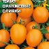 Томат Оранжевые сливки