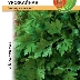 Петрушка Урожайная