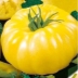 Томат Лимонный король