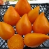 Томат Немецкая оранжевая клубника